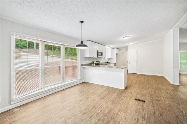 6670 George Ct, Cumming, GA 30041 - kitchen featuring stainless steel appliances, light wood-type flooring, a textured ceiling, and plenty of natural light