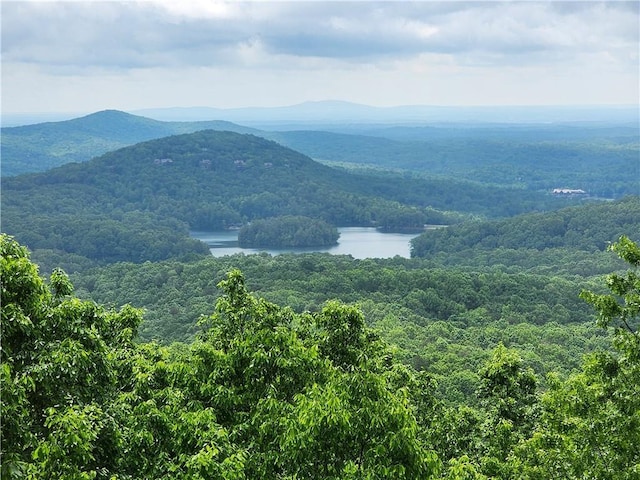 1115 Wild Turkey Blf, Jasper, GA 30143 - view of mountain backdrop featuring a nearby body of water and a forest