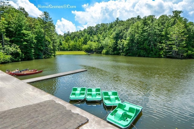 1115 Wild Turkey Blf, Jasper, GA 30143 - dock area featuring a view of trees and a water view