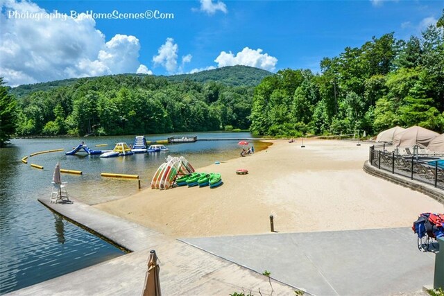 1115 Wild Turkey Blf, Jasper, GA 30143 - dock featuring a view of trees and a water view