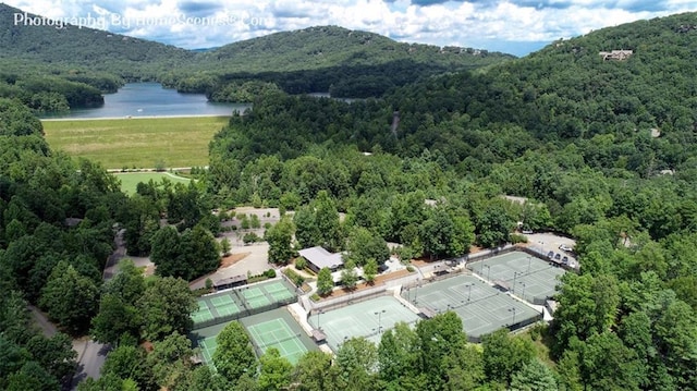 1115 Wild Turkey Blf, Jasper, GA 30143 - aerial view of property's location featuring a water and mountain view and a forest