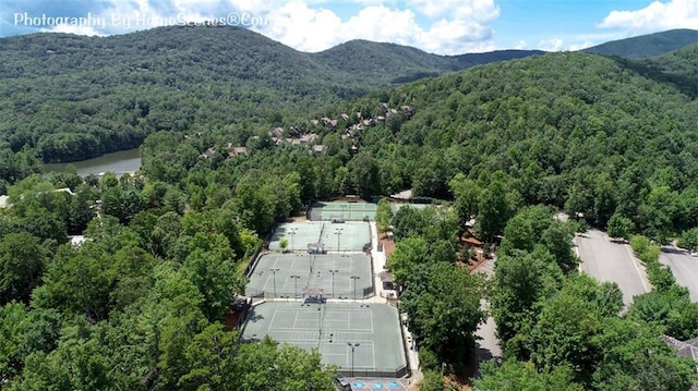 1115 Wild Turkey Blf, Jasper, GA 30143 - aerial view of a forest and mountains