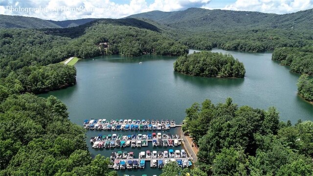 1115 Wild Turkey Blf, Jasper, GA 30143 - aerial view of a water and mountain view