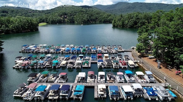 1115 Wild Turkey Blf, Jasper, GA 30143 - drone / aerial view of a water and mountain view