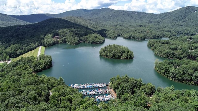 1115 Wild Turkey Blf, Jasper, GA 30143 - aerial view of a water and mountain view and a forest