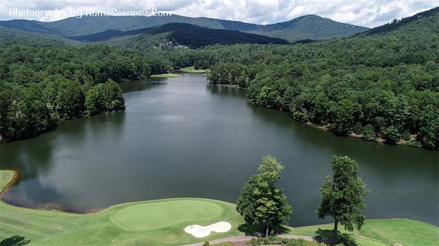 1115 Wild Turkey Blf, Jasper, GA 30143 - bird's eye view of a forest and a water and mountain view