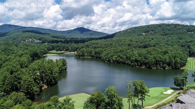 1115 Wild Turkey Blf, Jasper, GA 30143 - aerial view of a water and mountain view