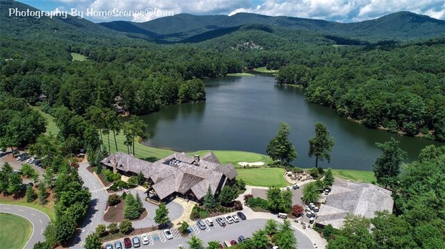 1115 Wild Turkey Blf, Jasper, GA 30143 - aerial view of property and surrounding area with a heavily wooded area and a water and mountain view