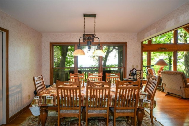 1115 Wild Turkey Blf, Jasper, GA 30143 - dining space featuring plenty of natural light, wallpapered walls, and wood finished floors
