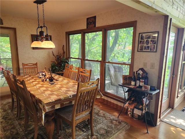 1115 Wild Turkey Blf, Jasper, GA 30143 - dining room with wood finished floors and healthy amount of natural light
