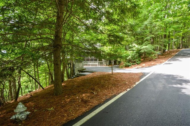 1115 Wild Turkey Blf, Jasper, GA 30143 - view of property's community