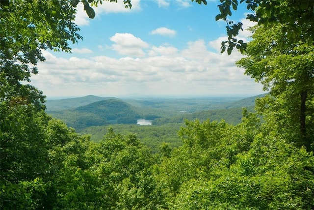 1115 Wild Turkey Blf, Jasper, GA 30143 - mountain view with a heavily wooded area