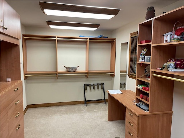 1115 Wild Turkey Blf, Jasper, GA 30143 - walk in closet featuring light colored carpet