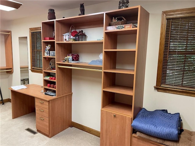 1115 Wild Turkey Blf, Jasper, GA 30143 - spacious closet with light colored carpet