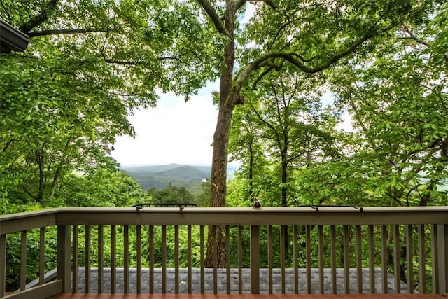1115 Wild Turkey Blf, Jasper, GA 30143 - view of wooden deck
