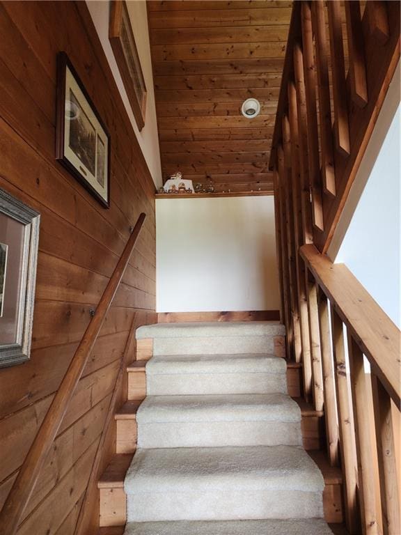 1115 Wild Turkey Blf, Jasper, GA 30143 - stairway featuring wooden walls and lofted ceiling