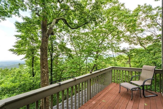 1115 Wild Turkey Blf, Jasper, GA 30143 - view of wooden deck