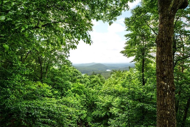 1115 Wild Turkey Blf, Jasper, GA 30143 - view of mountain backdrop featuring a heavily wooded area
