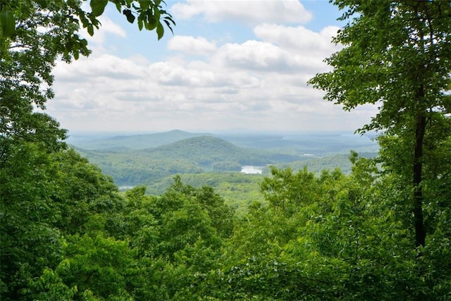 1115 Wild Turkey Blf, Jasper, GA 30143 - mountain view featuring a forest