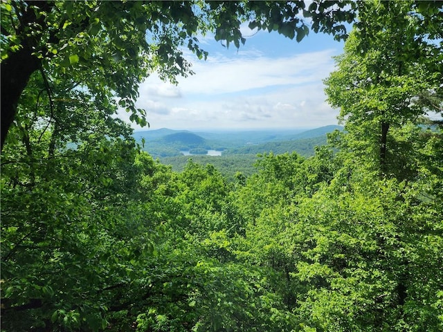 1115 Wild Turkey Blf, Jasper, GA 30143 - view of mountain backdrop with a heavily wooded area
