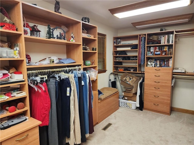 1115 Wild Turkey Blf, Jasper, GA 30143 - walk in closet with carpet floors