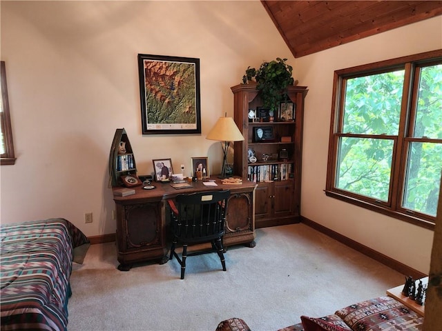 1115 Wild Turkey Blf, Jasper, GA 30143 - carpeted office with baseboards, lofted ceiling, and wood ceiling