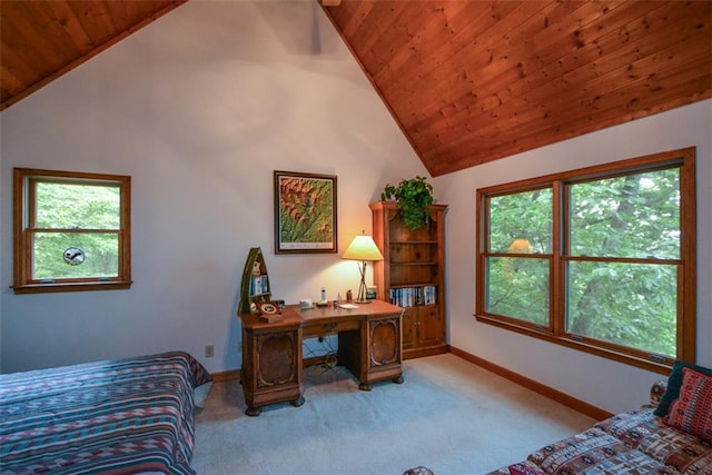 1115 Wild Turkey Blf, Jasper, GA 30143 - bedroom with wooden ceiling, lofted ceiling, carpet floors, and multiple windows