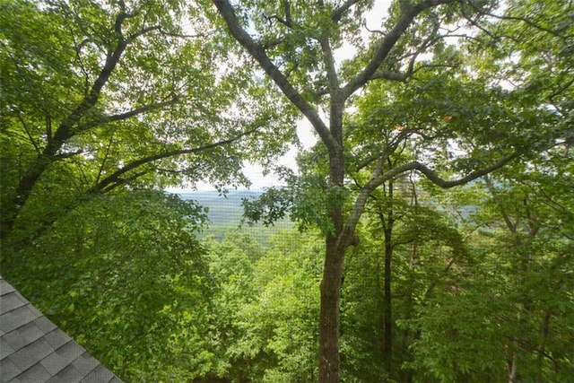 1115 Wild Turkey Blf, Jasper, GA 30143 - view of nature