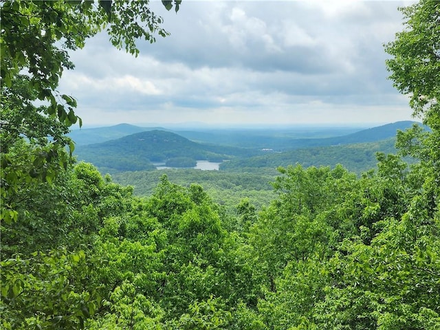 1115 Wild Turkey Blf, Jasper, GA 30143 - mountain view