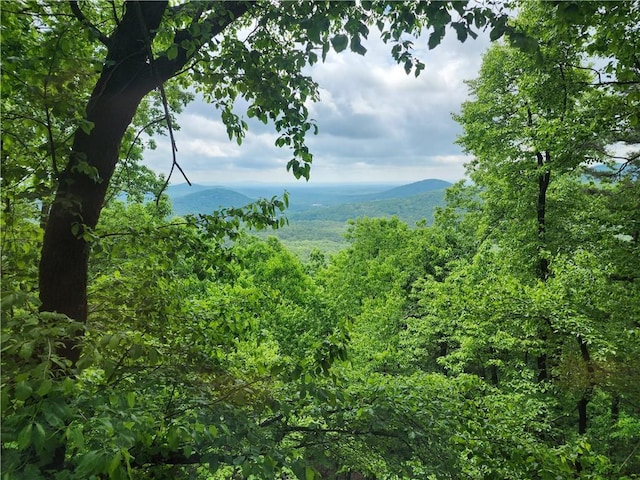 1115 Wild Turkey Blf, Jasper, GA 30143 - view of mountain backdrop with a forest