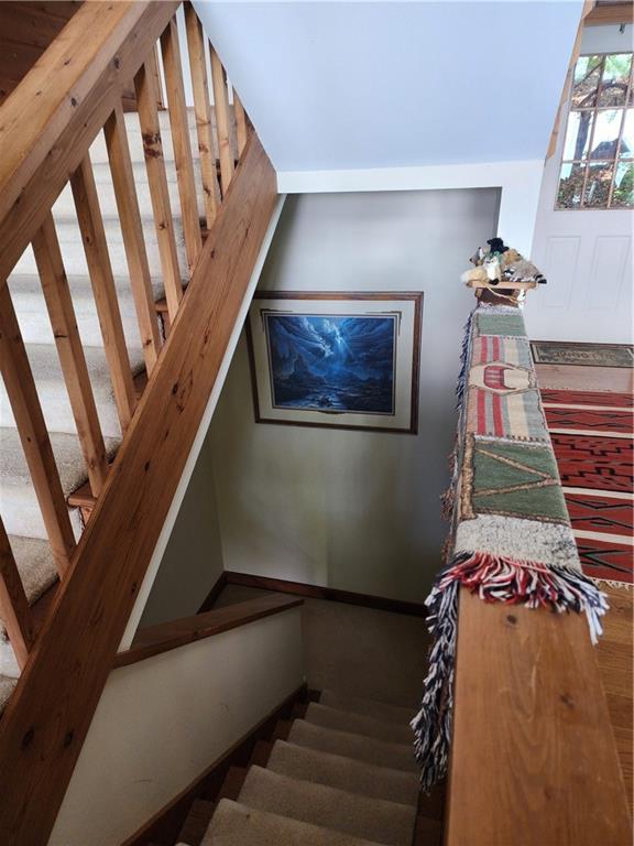 1115 Wild Turkey Blf, Jasper, GA 30143 - stairway with wood finished floors