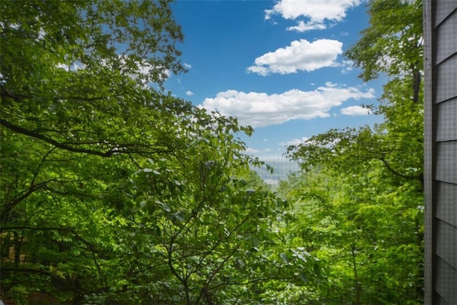 1115 Wild Turkey Blf, Jasper, GA 30143 - view of nature