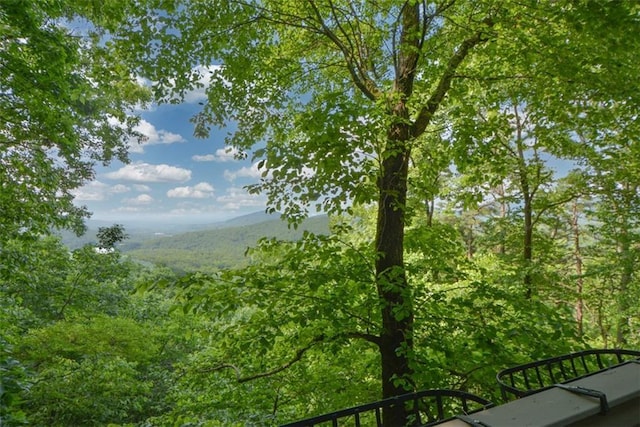 1115 Wild Turkey Blf, Jasper, GA 30143 - view of mountain backdrop with a forest