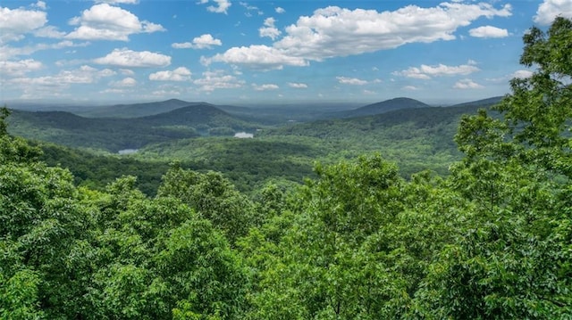 1115 Wild Turkey Blf, Jasper, GA 30143 - view of mountain background with a heavily wooded area