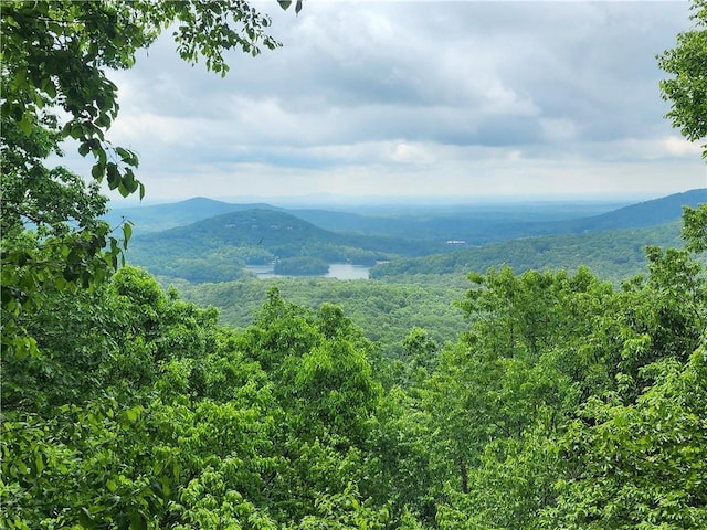 1115 Wild Turkey Blf, Jasper, GA 30143 - view of mountain background featuring a forest