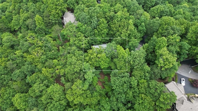 1115 Wild Turkey Blf, Jasper, GA 30143 - aerial overview of property's location with property boundaries highlighted