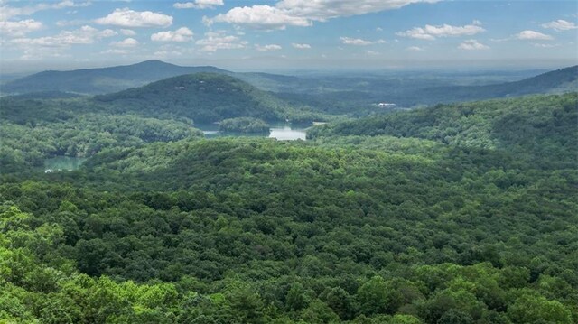 1115 Wild Turkey Blf, Jasper, GA 30143 - view of mountain background featuring a forest and a nearby body of water