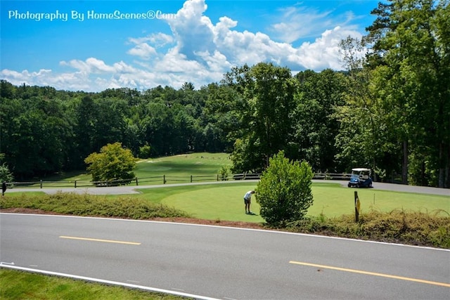 1115 Wild Turkey Blf, Jasper, GA 30143 - view of asphalt street
