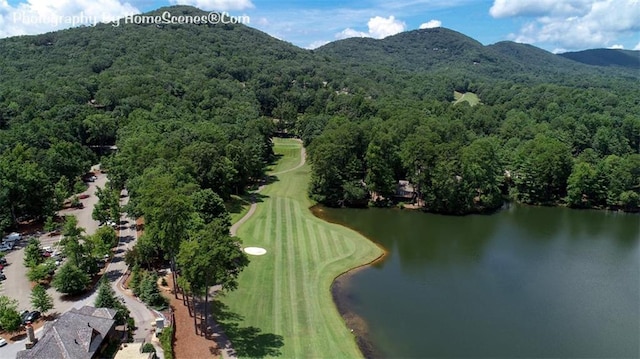 1115 Wild Turkey Blf, Jasper, GA 30143 - aerial view of a water and mountain view and a golf course