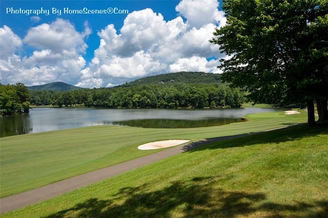 1115 Wild Turkey Blf, Jasper, GA 30143 - view of community with a water and mountain view, a yard, and view of golf course