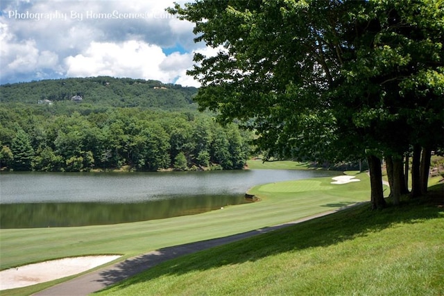 1115 Wild Turkey Blf, Jasper, GA 30143 - view of property's community featuring a water view, a lawn, and golf course view