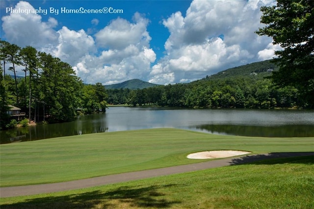 1115 Wild Turkey Blf, Jasper, GA 30143 - view of home's community featuring a water and mountain view, a yard, and golf course view