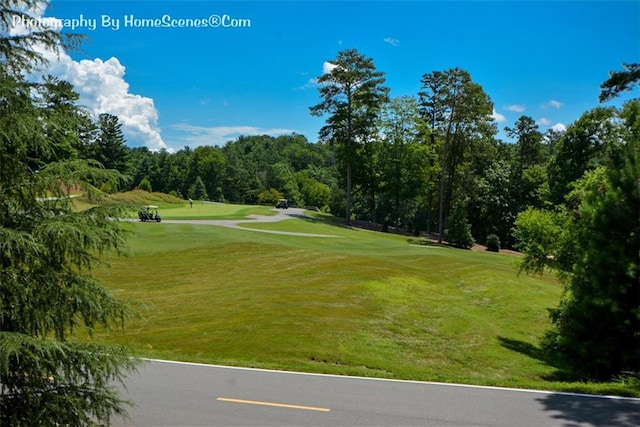 1115 Wild Turkey Blf, Jasper, GA 30143 - view of community featuring golf course view and a yard