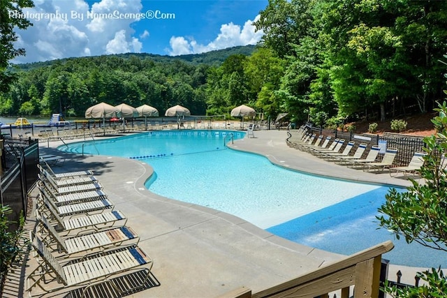 1115 Wild Turkey Blf, Jasper, GA 30143 - community pool with a wooded view and a patio