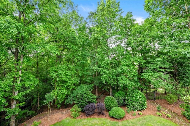 370 Fairleaf Ct, Alpharetta, GA 30022 - view of yard