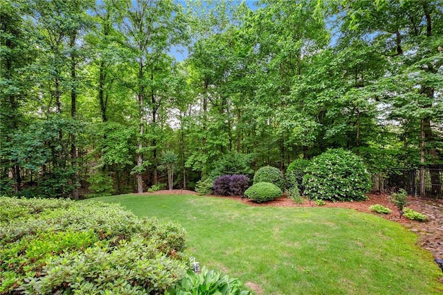 370 Fairleaf Ct, Alpharetta, GA 30022 - view of yard