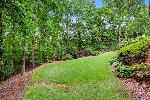370 Fairleaf Ct, Alpharetta, GA 30022 - view of green lawn