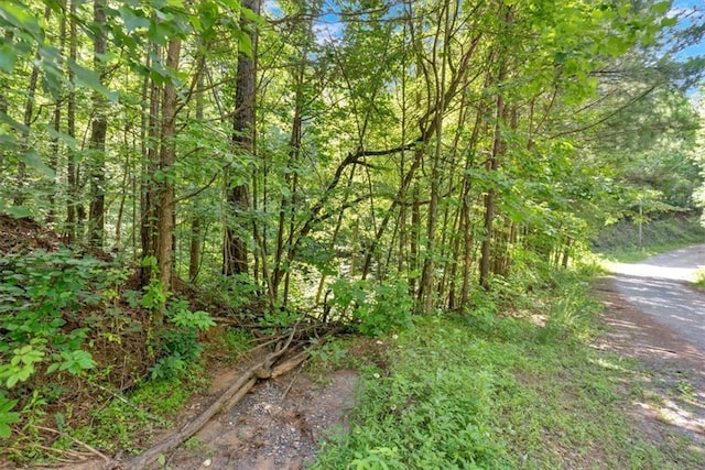 0 Whitestone Dr, Talking Rock, GA 30175