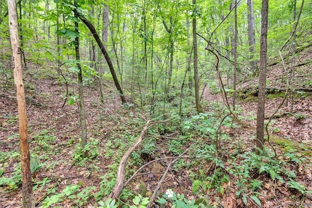 0 Whitestone Dr, Talking Rock, GA 30175