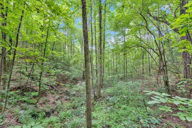 0 Whitestone Dr, Talking Rock, GA 30175